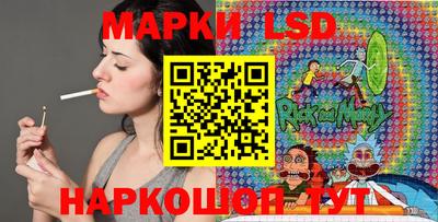 СК Сланцы