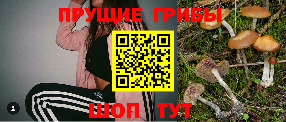 Павловский Посад  Галлюциногенные грибы мухоморы  Вход с VPN 