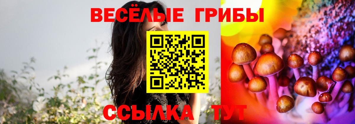 Галлюциногенные грибы Psilocybine cubensis Павловский Посад